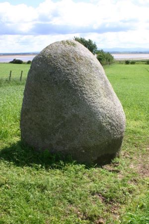 The Lochmaben Stone is a megalith standing in a field, on the farm of Old Graitney, nearly a mile west of the Sark mouth on the Solway Close to Gretna 

 <p>
 
 
This stone has a lot of history attached to it connected with the Borders. <br>It is an erregular, 7' high and weighs approximately ten tons. It is composed of weathered granite, exposed to severe glacial action.<p> 
 Dumfries & Galloway Scotland June 2008