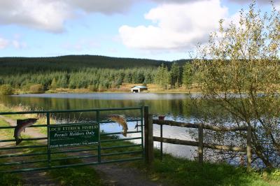 loch ettrick