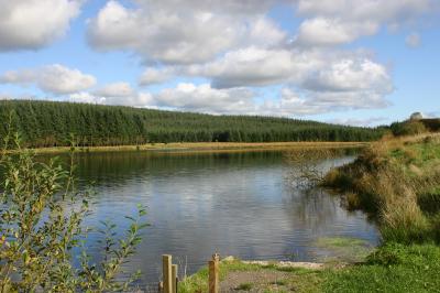 loch ettrick