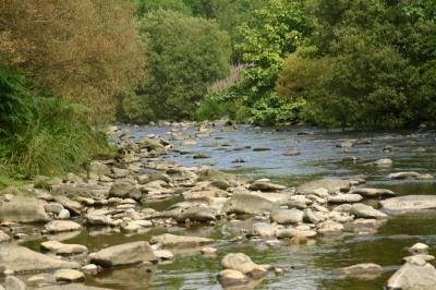 waters of Ae in Ae forest
