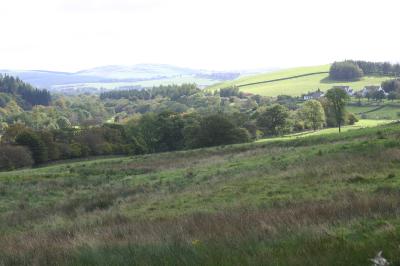 view over forest of Ae