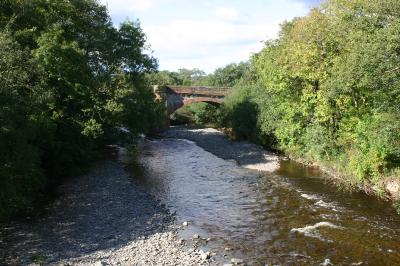 Water of Ae in forest of Ae 
