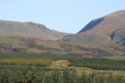 view from forest of Ae 