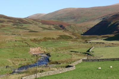 view over forest of Ae 