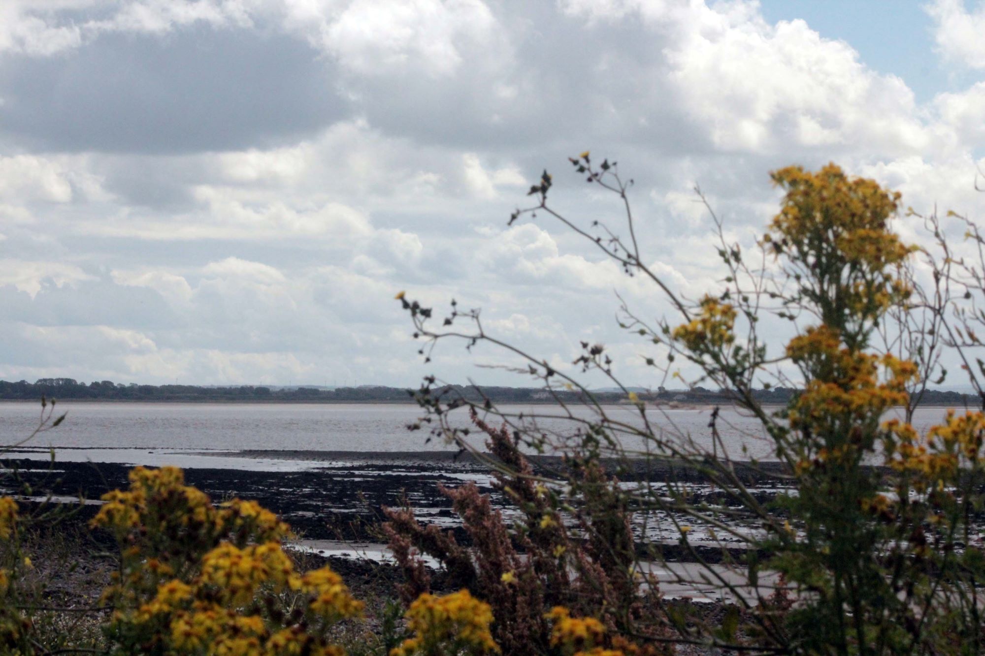 Coastal view from Newbiebarnes