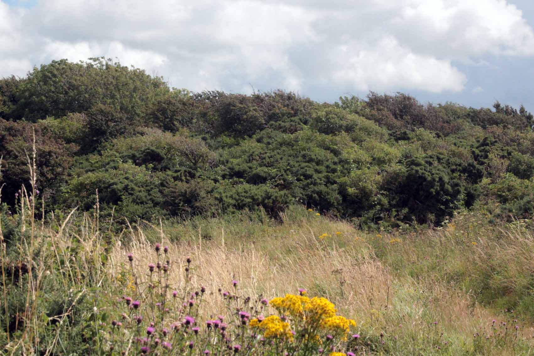 Site of old lighthouse