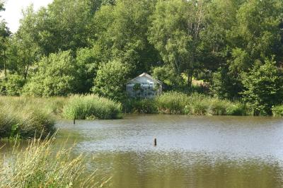 AppleGarthtown Wild life Sanctuary