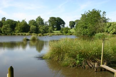 AppleGarthtown Wild life Sanctuary