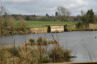Applegarth wildlife sanctuary Martins nes