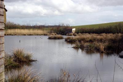 Applegarth sanctuary 