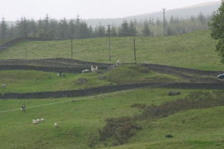 southern upland way @ beattock