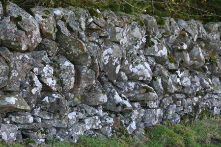 southern upland way @ beattock