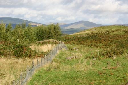 southern upland way @ beattock