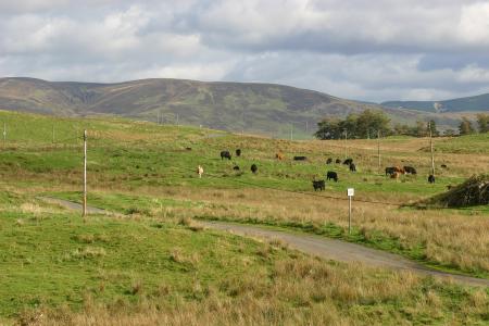 southern upland way @ beattock