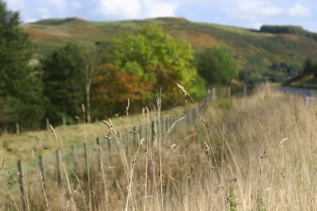 southern upland way @ beattock