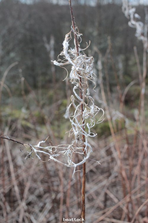 southern upland way @ beattock