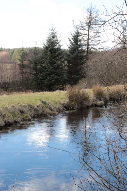 Ponds on Southern upland way