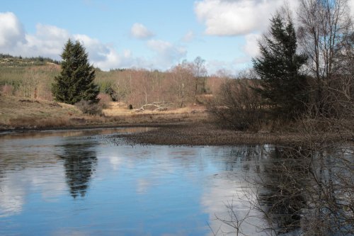 Ponds on the southern upland way