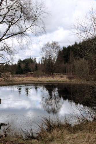 Ponds on the southern upland way