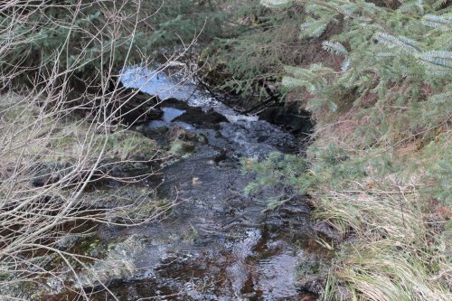 southern upland way @ beattock