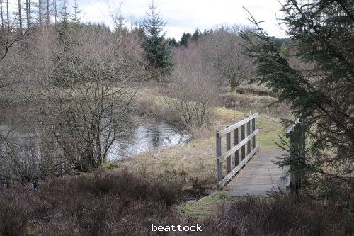 southern upland way @ beattock