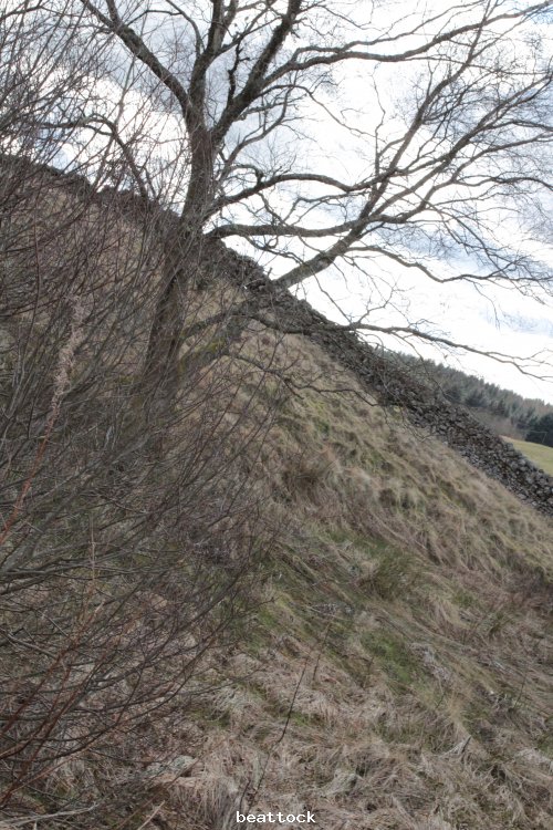 southern upland way @ beattock