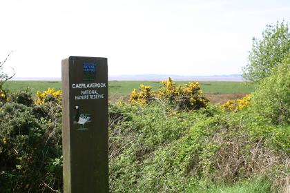 caerlaverock  reserve  signs