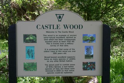 Information board at Caerlaverock Reserv