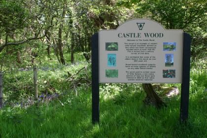 Path through Caerlaverock Reserve