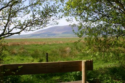 Caerlaverock  Reserve