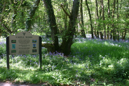 Caerlaverock  Reserve