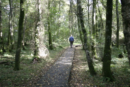 caerlaverock_reserve  