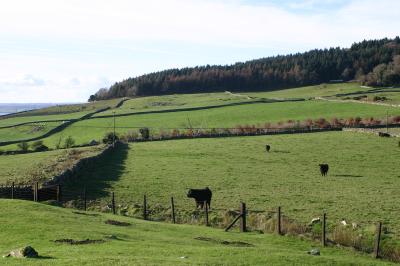 view from Cairn Holy