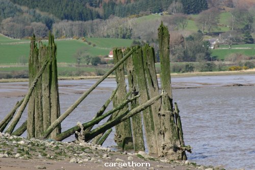 Remains of pier at Carsethorne  2004