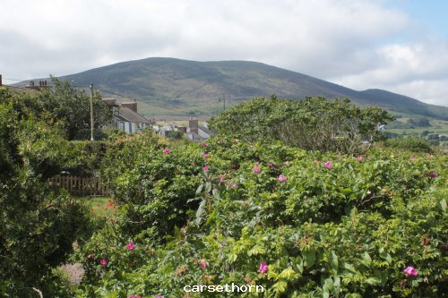 THe Criffel from Caresthorne