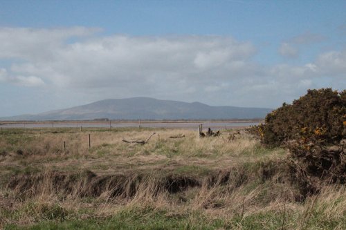 View from Brow well across Solway 