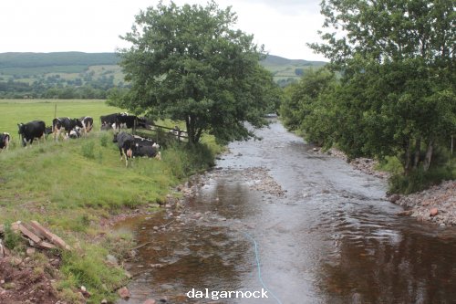 Dalgarnock grave yard