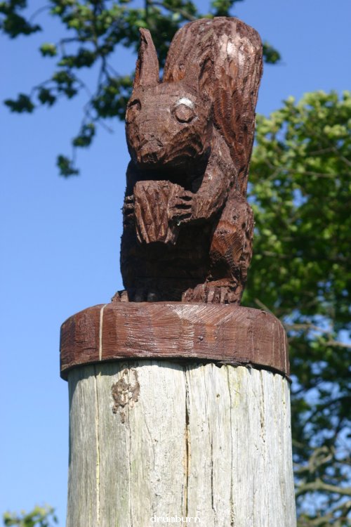Wood carving at Drumburn view point