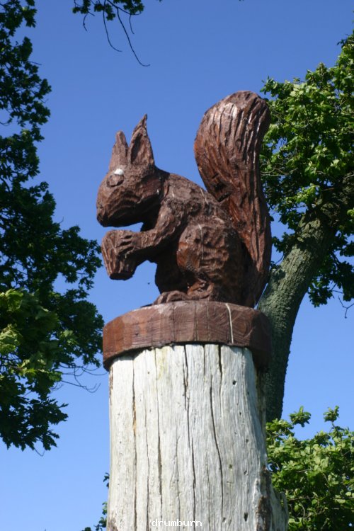 Wood carving at Drumburn view point