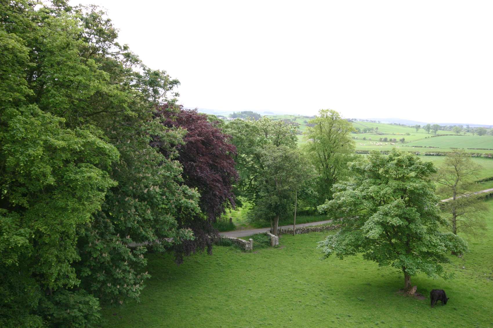 Drumcoltran tower view from roof