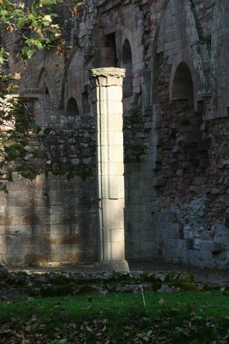 dryburgh abbey 