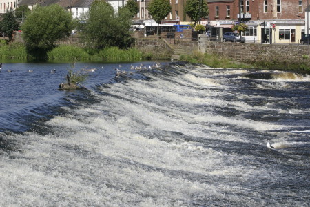 The Caul at Dumfries