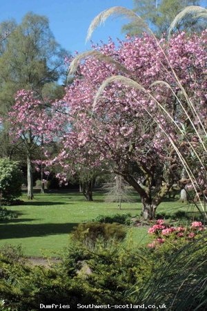 The Crichton  grounds