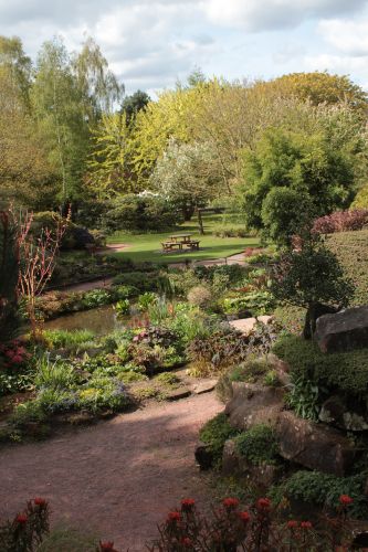 The gardens in The Crighton