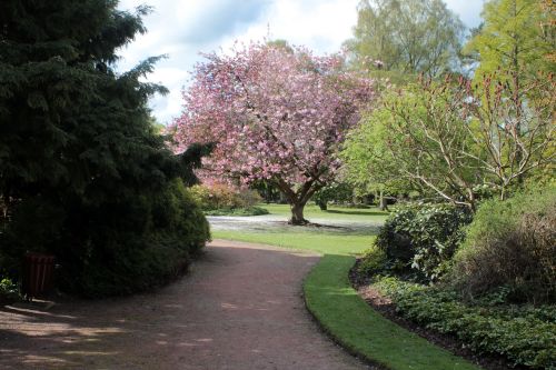 Gardens at The Crichton