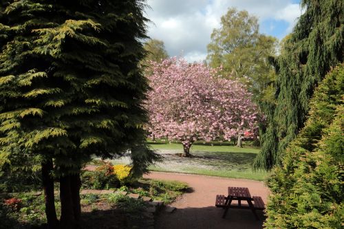 Gardens at The Crichton