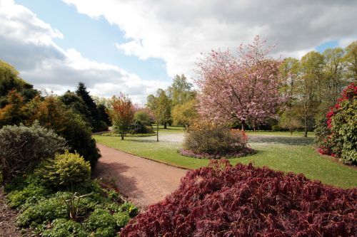 Crichton gardens