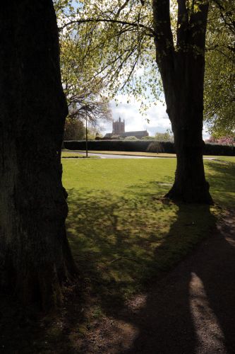 The gardens in The Crighton