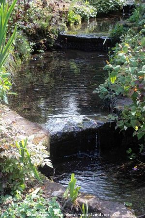 Pond in Chrighton gardens