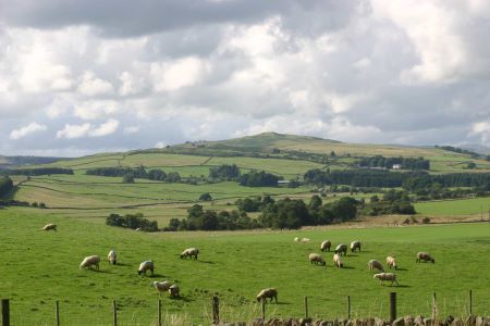 View from church  @ dunscore